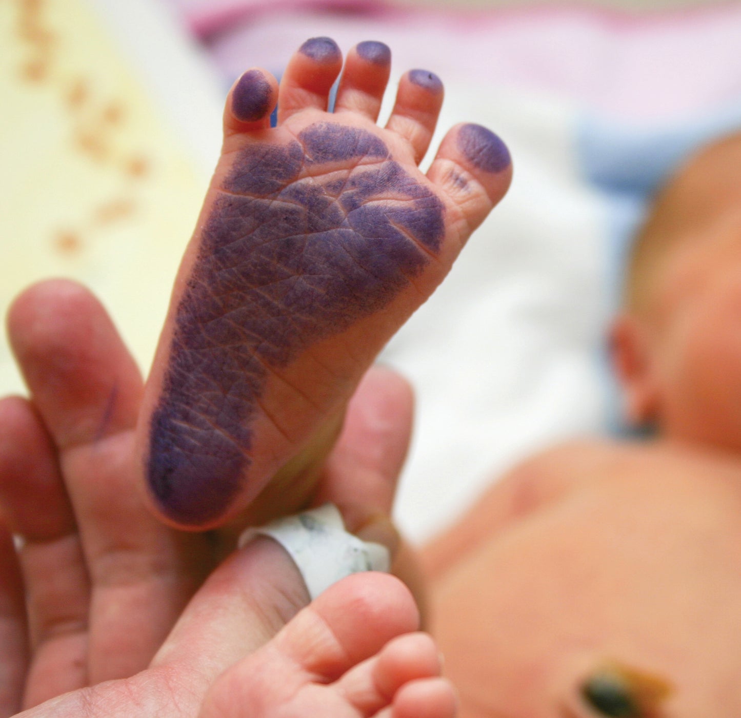 Personalized Baby Penguin Footprint Kit, A3 format, black